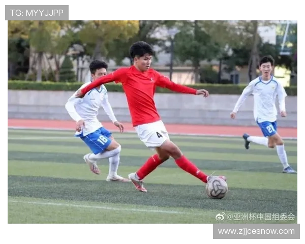 北京乒乓球队总决赛战术分析与表现评估全景解读