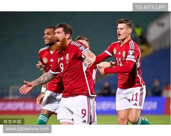 匈牙利足球明星遭枪杀震惊世界足球界引发广泛关注与哀悼