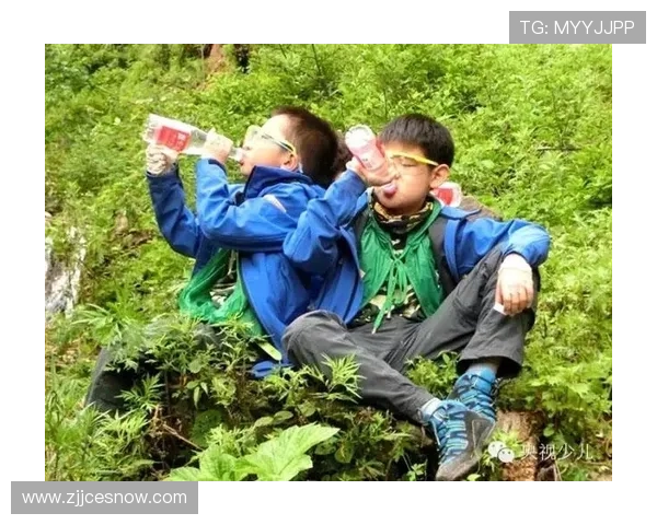 动物世界的足球明星们如何在绿茵场上展现非凡才华与魅力