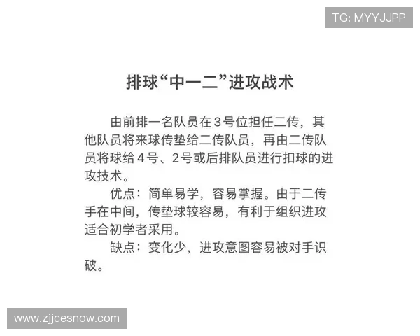 北京排球队灵活性对比分析揭示战术优势与发展潜力