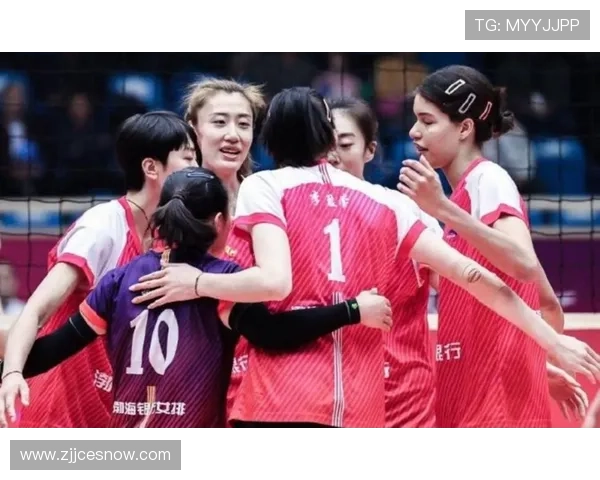 杭州排球队在全国排球团队协作排行榜中荣登第九名展现出色团队精神与实力